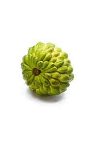 Close-up of fruit against white background