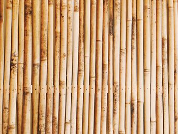 Full frame shot of bamboo wall background