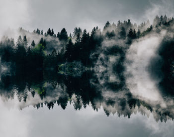 Scenic view of lake in forest against sky