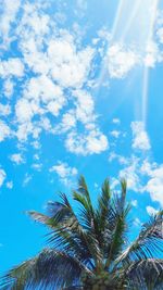 Low angle view of palm trees against blue sky