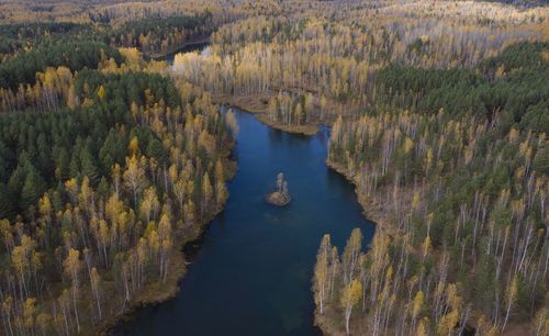 High angle view of trees by lake