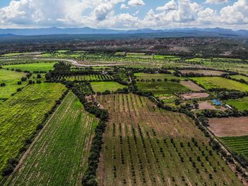 Aerial view of farm