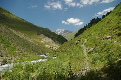 Scenic view of landscape against sky