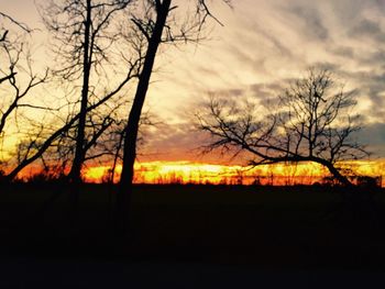 Silhouette bare trees on field against sky at sunset