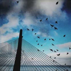 Low angle view of birds flying in sky