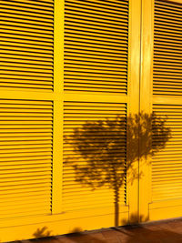 Full frame shot of window