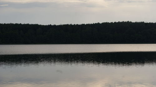 Scenic view of lake in forest against sky