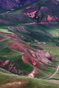 High angle view of grassy field