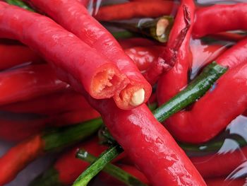 Cropped hand of man holding red chili pepper