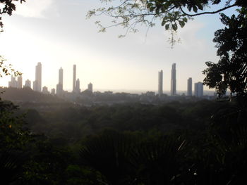 Trees and buildings against sky during sunset