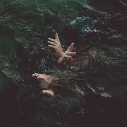 High angle view of person swimming in lake