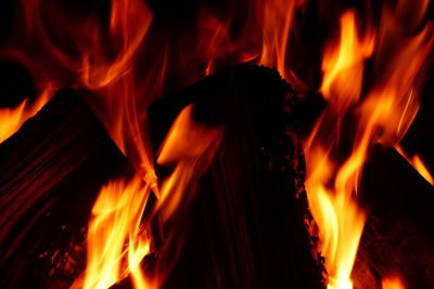 Close-up of bonfire at night