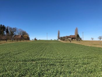 Scenic view of farm against clear sky