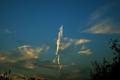 Low angle view of trees against sky