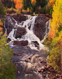 Scenic view of waterfall in forest