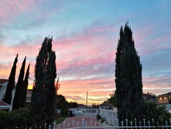 Panoramic view of trees and buildings against sky during sunset