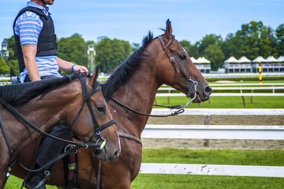 Man riding horse in ranch