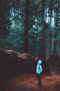 Man standing by trees in forest