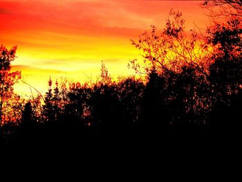 Silhouette of trees against sky during sunset