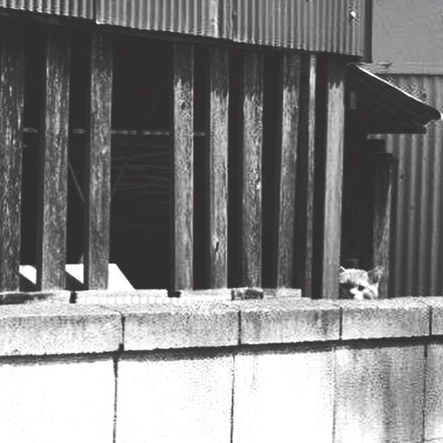 CLOSE-UP OF OLD BUILDING IN WINDOW