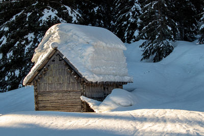 Mountain pasture in winter