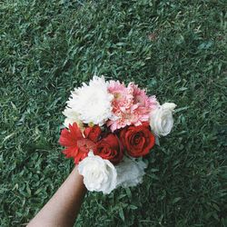 Cropped hand holding flowers over grass