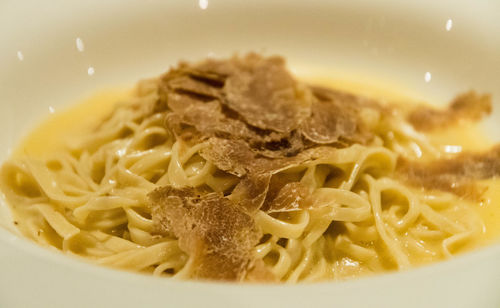 Close-up of pasta in plate