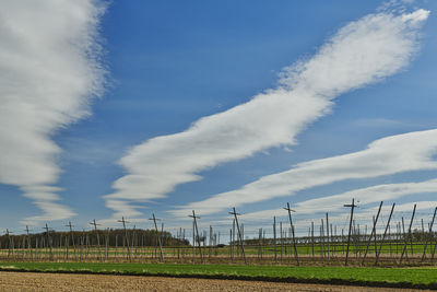 cloud