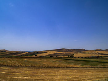 Scenic view of field against clear blue sky