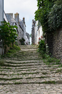 Cobblestone road amidst houses