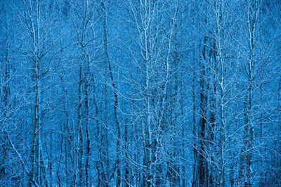 Full frame shot of blue wall