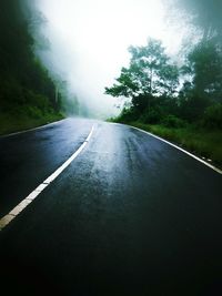 Empty road along trees