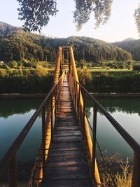 Footbridge over lake in forest