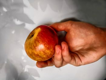 Close-up of person holding apple