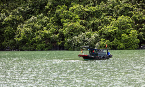 Boat sailing on river against trees