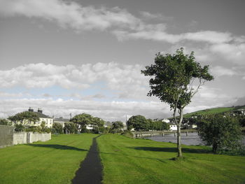 Scenic view of green landscape against sky