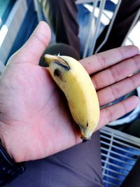 Close-up of hand holding fruit