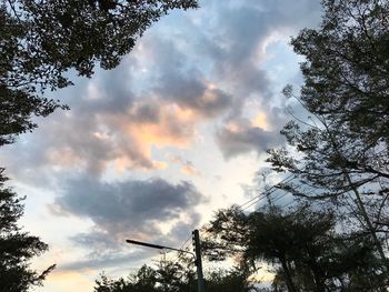 Low angle view of silhouette trees against sky