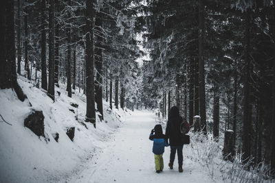 People on snow covered forest