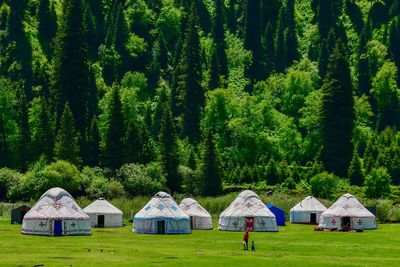 A few kazakh yurts in bayinbulak swan lake reserve, xinjiang