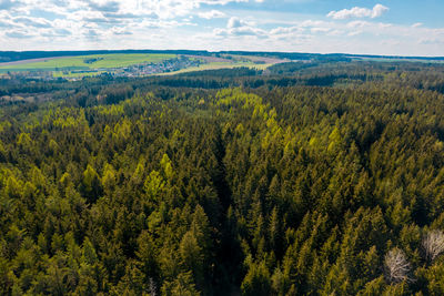 Scenic view of forest against sky