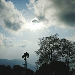 Low angle view of silhouette tree against sky