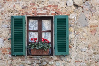 Flower pot on house window