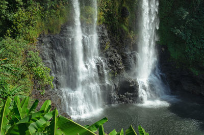 Scenic view of waterfall in forest