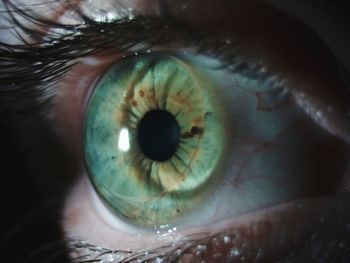 Close-up of human eye