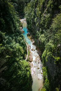 High angle view of stream amidst trees in forest
