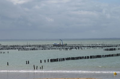 View of birds on beach against sky