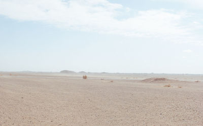 Scenic view of desert against sky