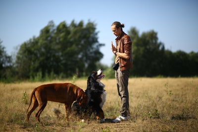 Horse on field