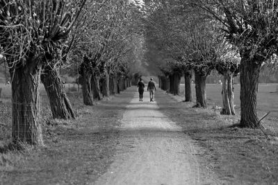Rear view of people walking on road along trees